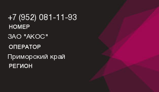 9520811193
